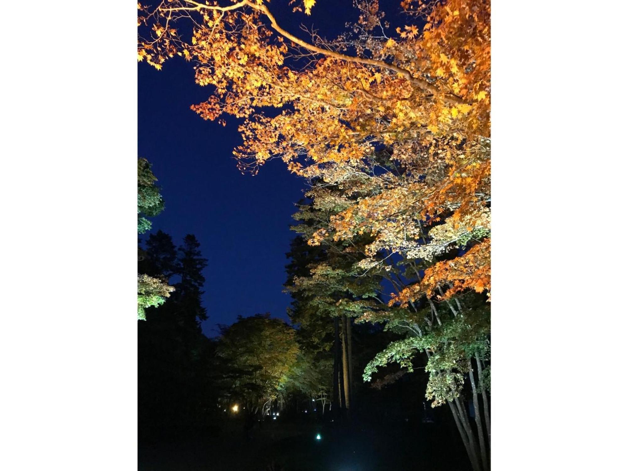 Hotel Tetora Yunokawaonsen - Vacation Stay 30623V Хакодате Экстерьер фото